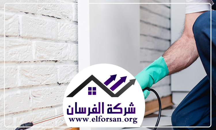 شركة مكافحة حشرات في ابوظبي