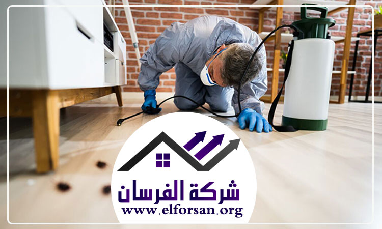 شركة مكافحة حشرات في العين