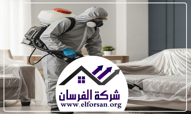 شركة مكافحة حشرات في العين 4 شركة مكافحة حشرات في العين