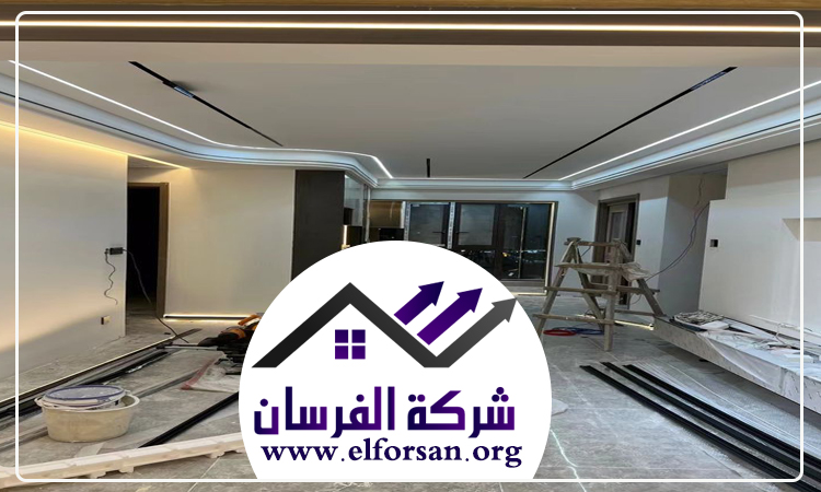 شركة ديكور