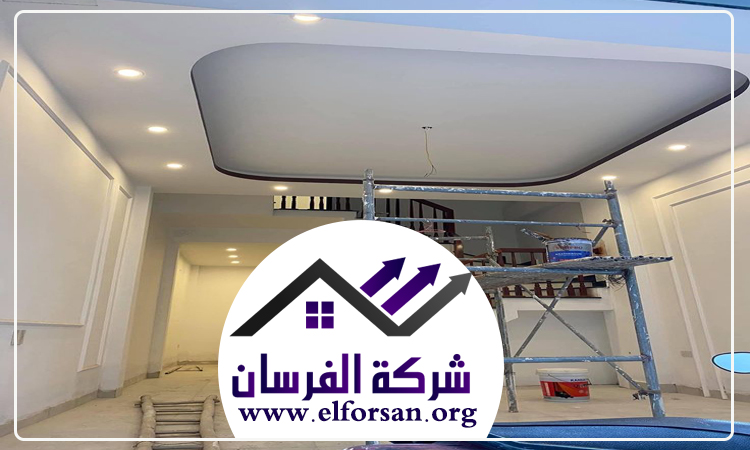 شركة ديكور